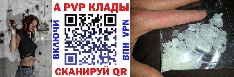 дарнет шоп  Светлогорск  Альфа ПВП СК 