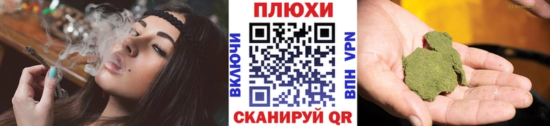 ГАШ индика сатива  где найти наркотики  Светлогорск 