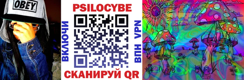 где купить наркоту  Светлогорск  Псилоцибиновые грибы Magic Shrooms 