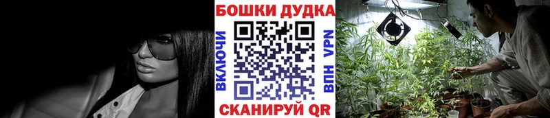 Конопля семена Светлогорск